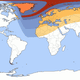 Image for article titled How To Watch Friday's Total Solar Eclipse